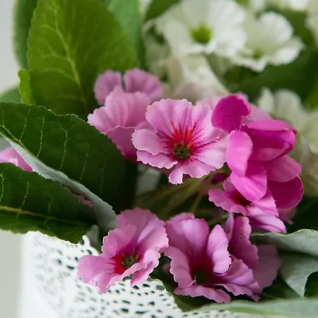 Le Nobili Dimore - A Gallipoli